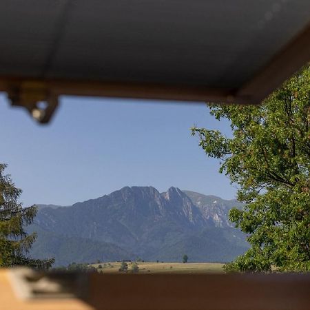 Apartamenty U Anusia Zakopane Bagian luar foto